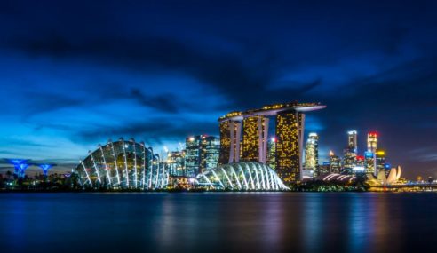 Singapore Is Giving Us The Massive 1800 hp Vanda Dendrobium