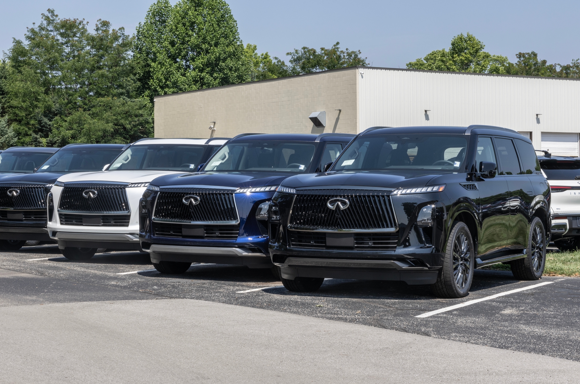 Infiniti Teases New QX80 SUV Variants at The Quail