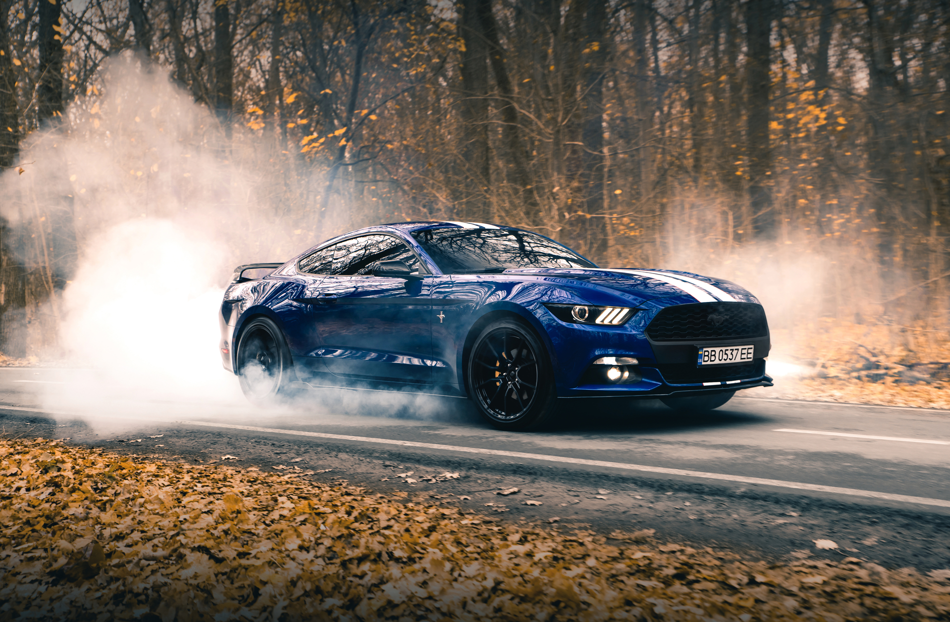 Ford Teases New 2026 Production Supercar Amid GT Comeback Rumors